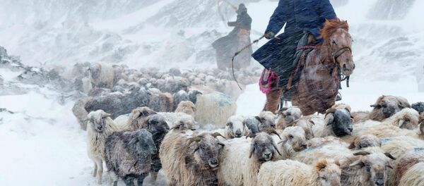 از سردی هوا در افغانستان 20 کودک جان خود را از دست دادند از سردی هوا در افغانستان 20 کودک جان خود را از دست دادند - اسپوتنیک افغانستان