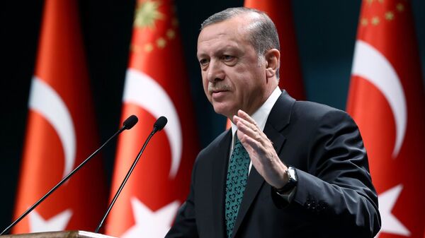 اردوغان: انجام عملیات نطامی در سوریه حق مسلم ماست - اسپوتنیک افغانستان  