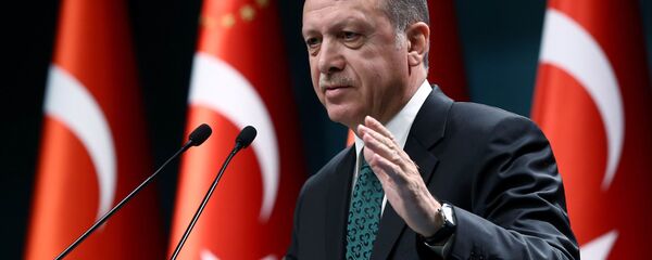 اردوغان از ادامۀ عملیات ارتش ترکیه برای سرکوب تروریستها در سوریه خبر داد اردوغان از ادامۀ عملیات ارتش ترکیه برای سرکوب تروریستها در سوریه خبر داد - اسپوتنیک افغانستان